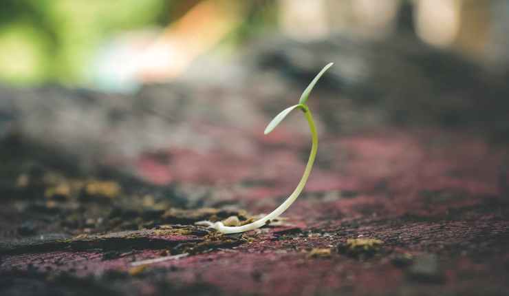 5 resources every Christian should be using for their growth and edification